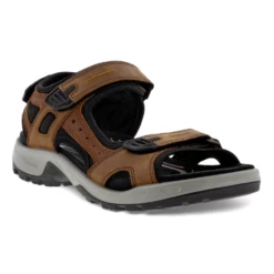 Marlou Shoes Sales Shop 27 ECCO Yucatan Espresso Sandal (Men's)
